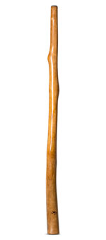 Tristan O'Meara Didgeridoo (TM297)